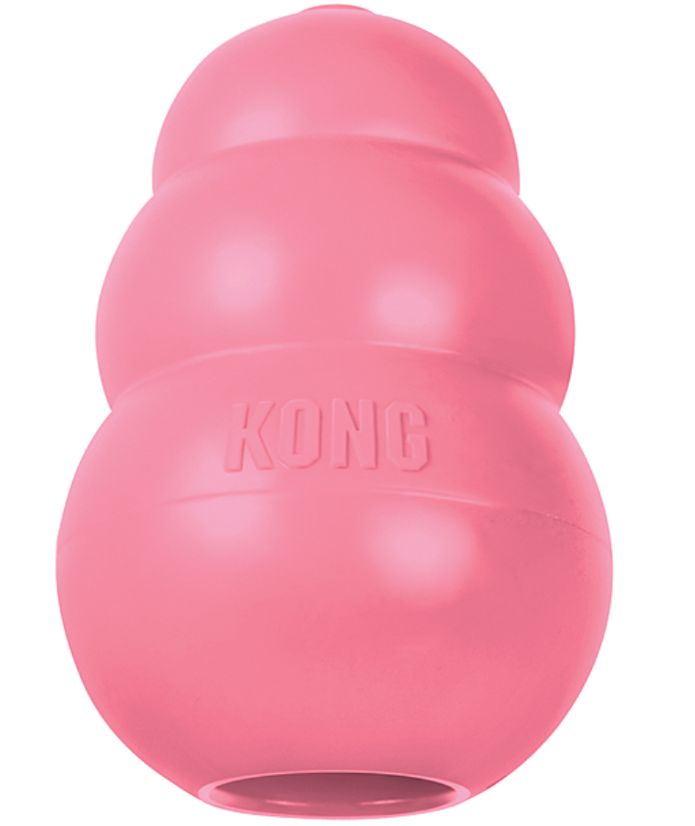 KONG Puppy