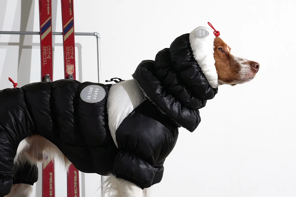 Puppygallery Whistler Cloud All-in-one Overall