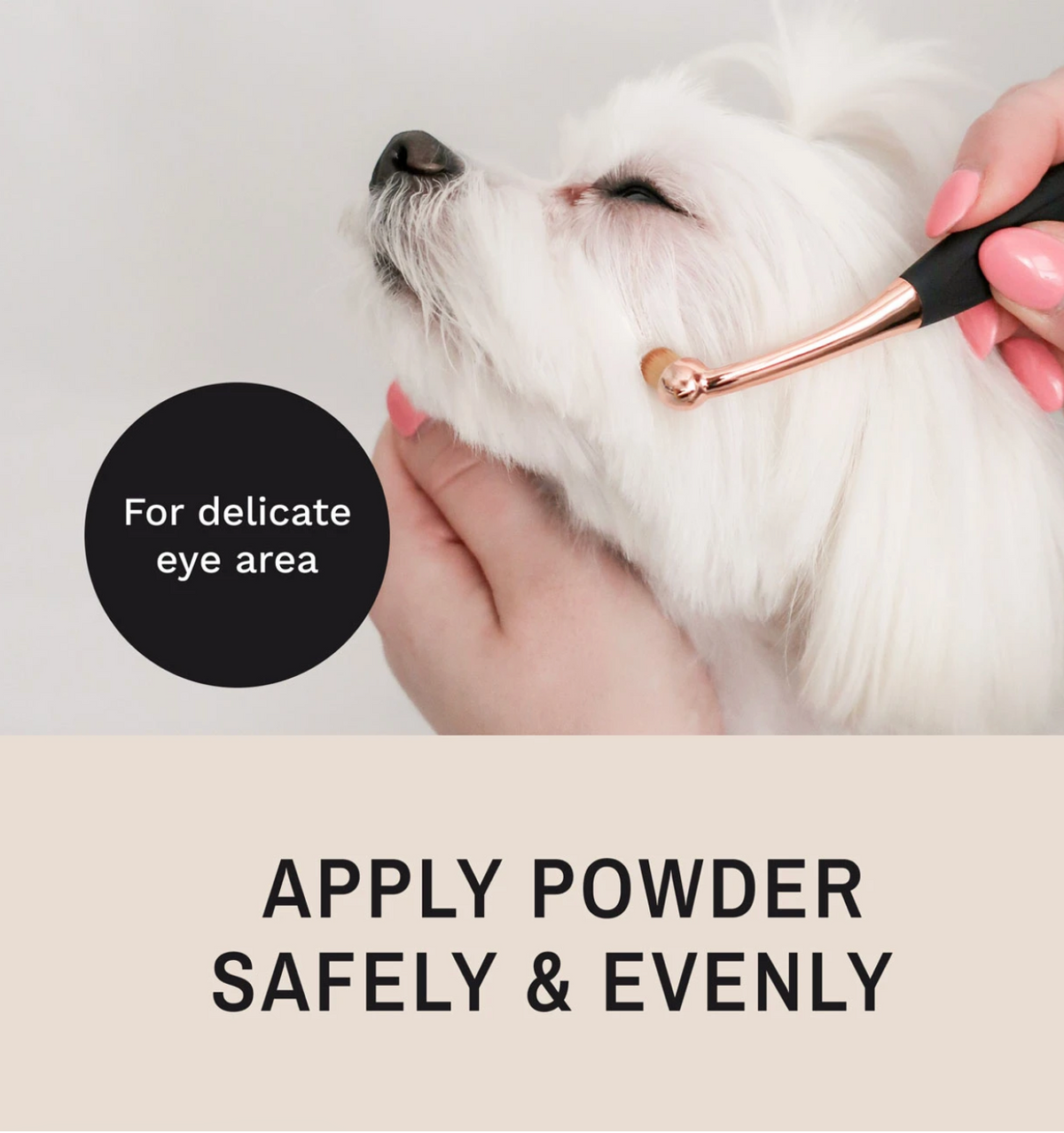 eye envy PROPOWDER APPLICATOR BRUSH (small)