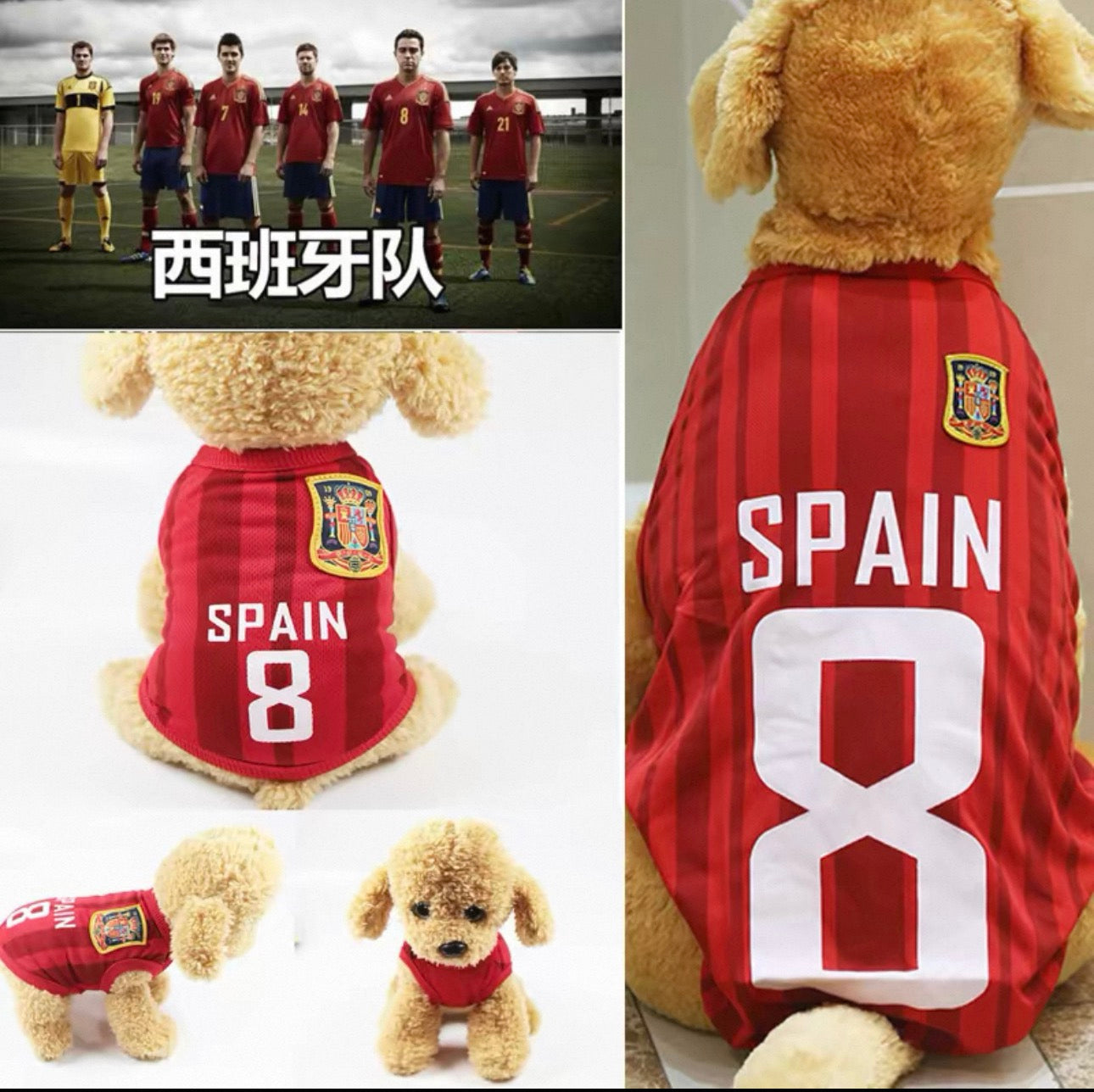 World Cup Pet Jersey