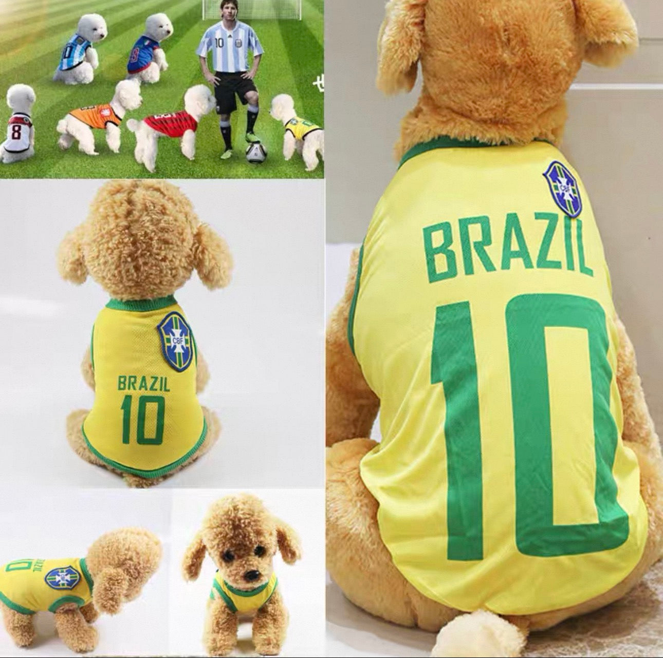 World Cup Pet Jersey