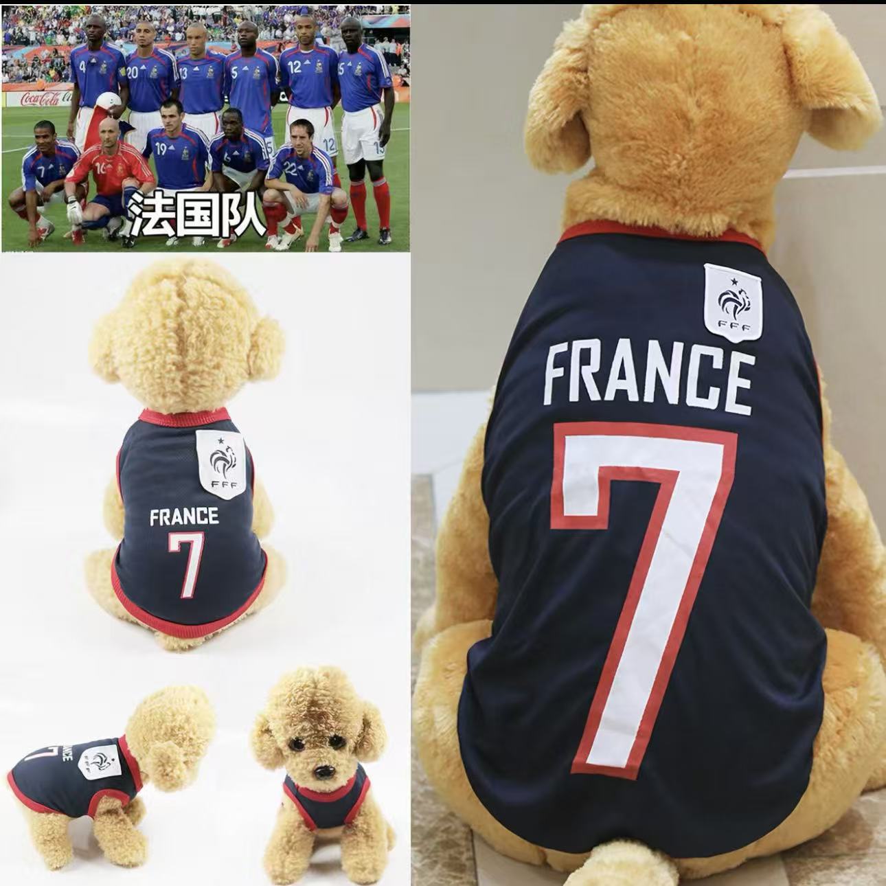 World Cup Pet Jersey