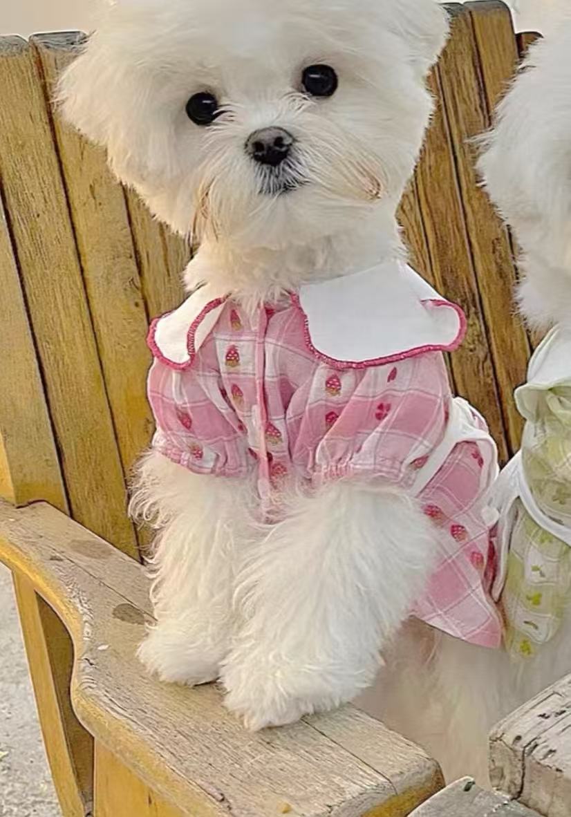Pink Dress with Strawberry