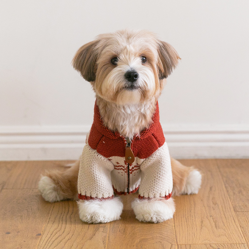 SSFW Maple Kowichan - Bunny