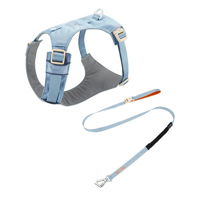 ZooLand harness with leash