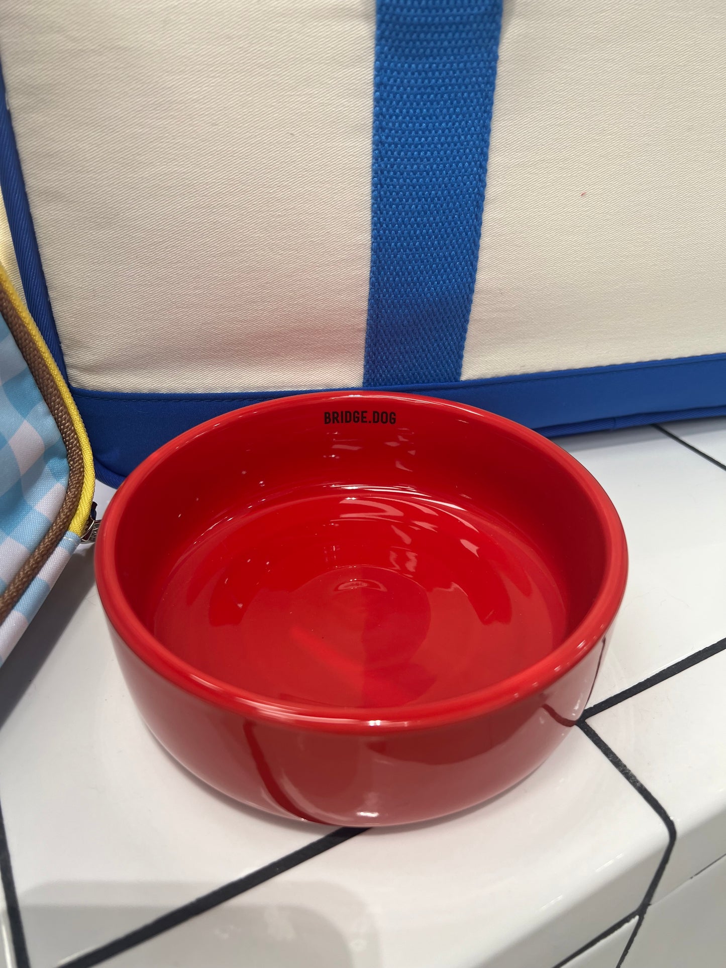 Bridge dog bowl
