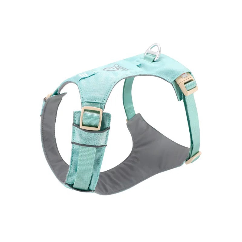 ZooLand harness with leash