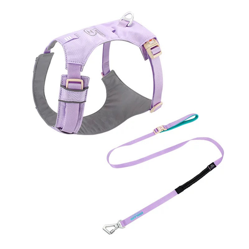 ZooLand harness with leash