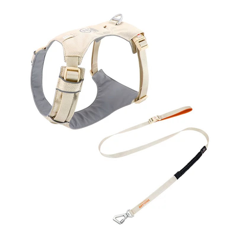 ZooLand harness with leash