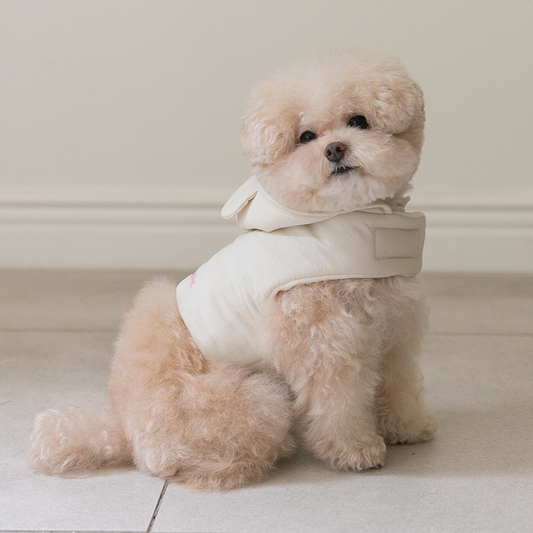 SSFW My Besty Pooper Harness