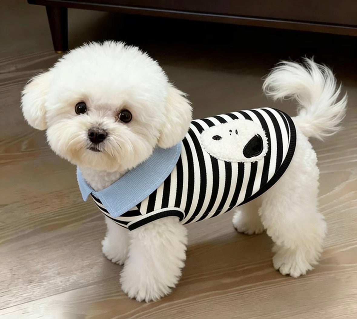 mp  pet clothes