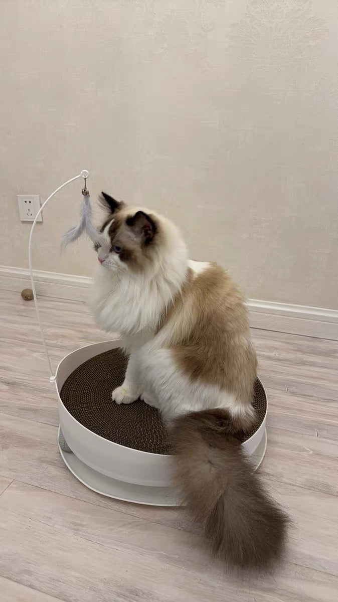 Multi-functional cat scratcher