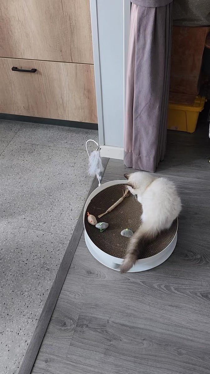 Multi-functional cat scratcher