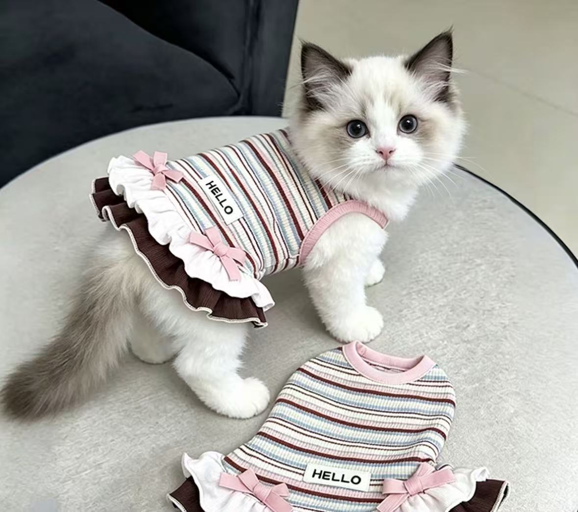 mp  pet clothes