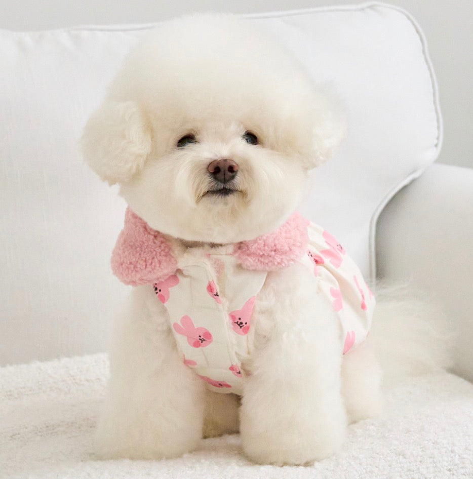 Bennys bear print dress