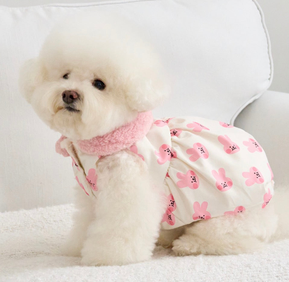 Bennys bear print dress