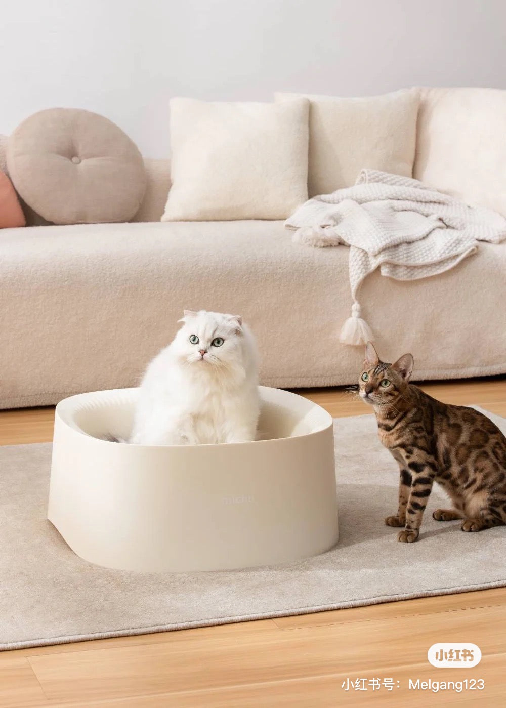 Meoof cat litter box