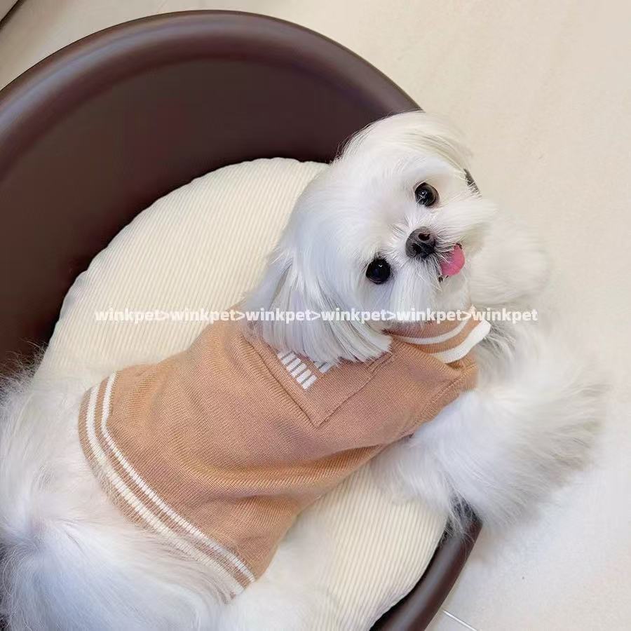Wink Pet sweater