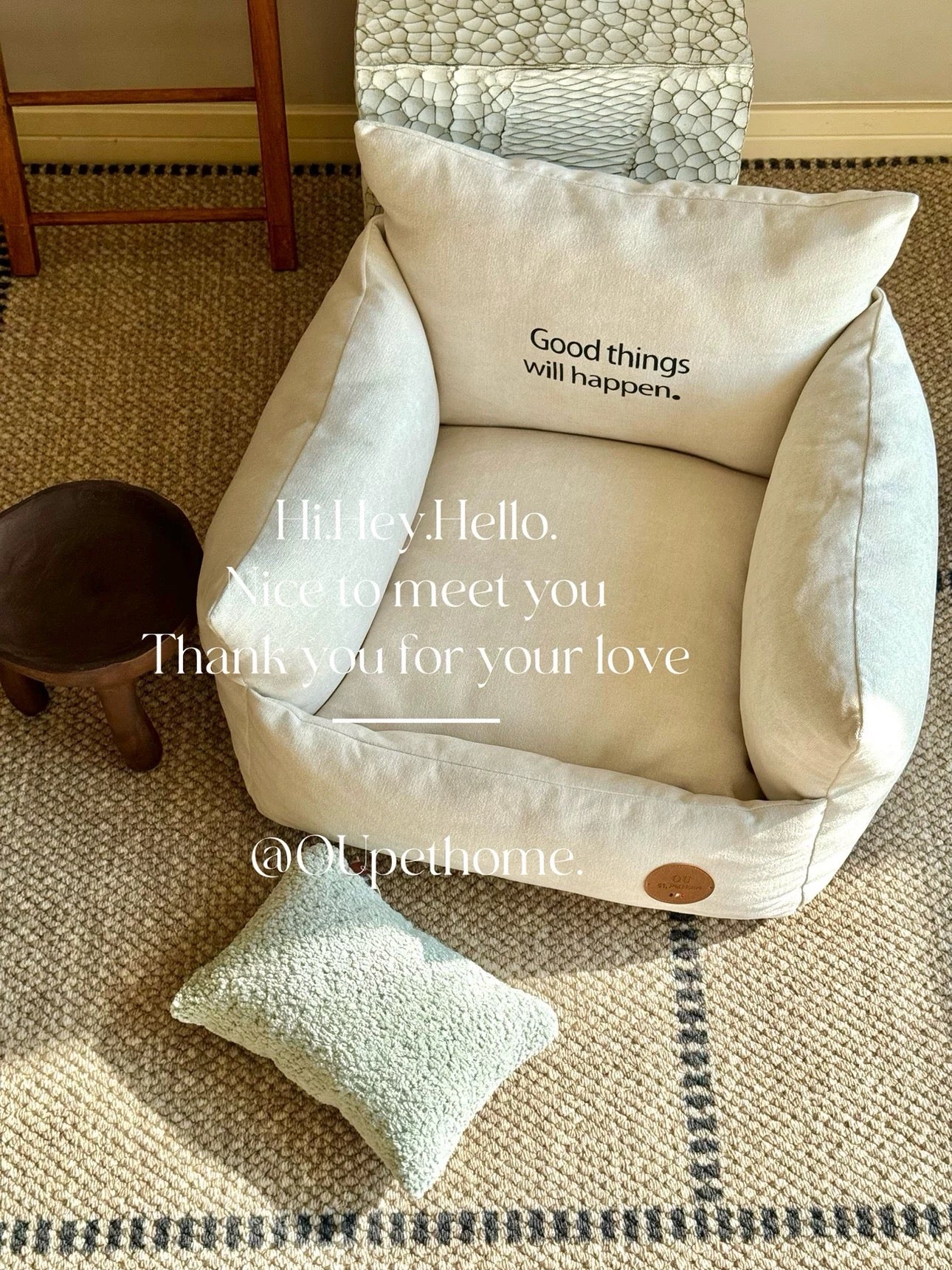 Ou Pet Beige Pet Bed with Green Pillow