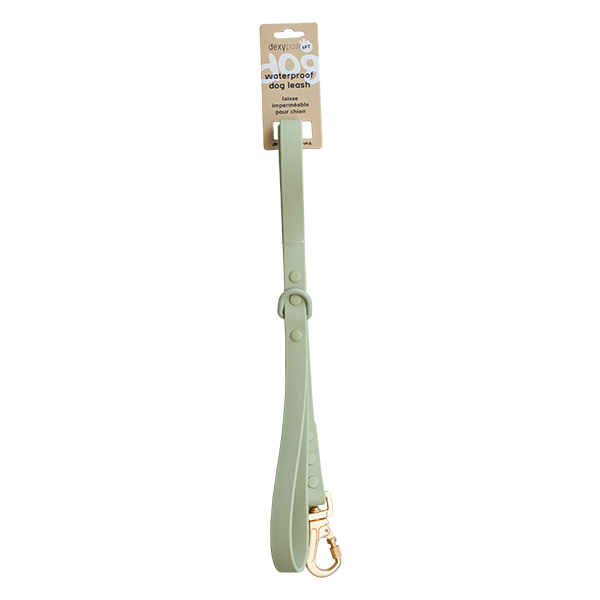 Dexypaws Waterproof Dog Leash - Sage Green - 5 ft