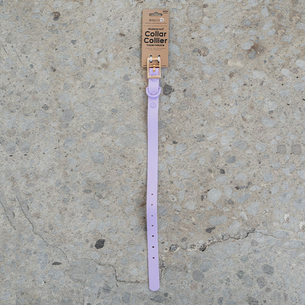 Dexypaws Waterproof Dog Collar - Lilac - Small