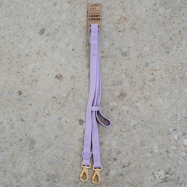 Dexypaws Waterproof Hands-Free Dog Leash - Lilac - 6 ft