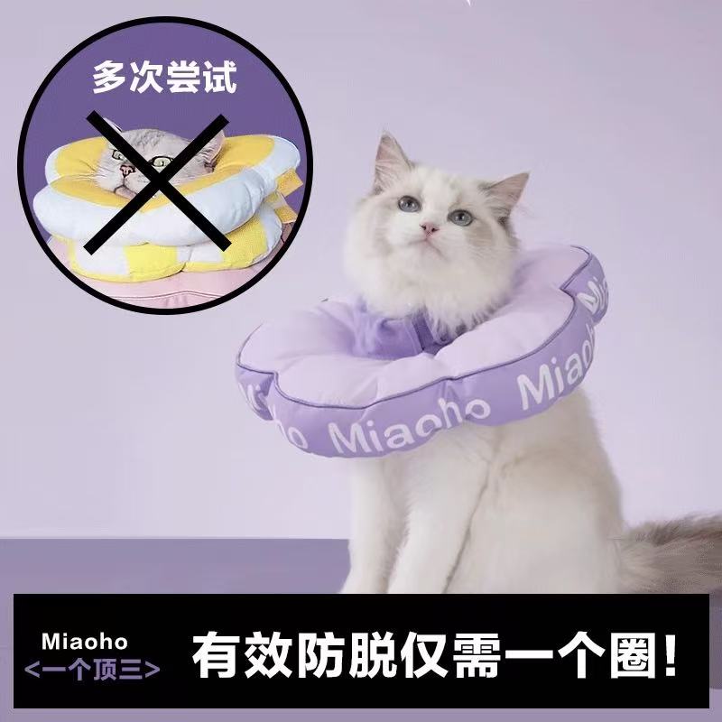 Elizabethan collar- pink