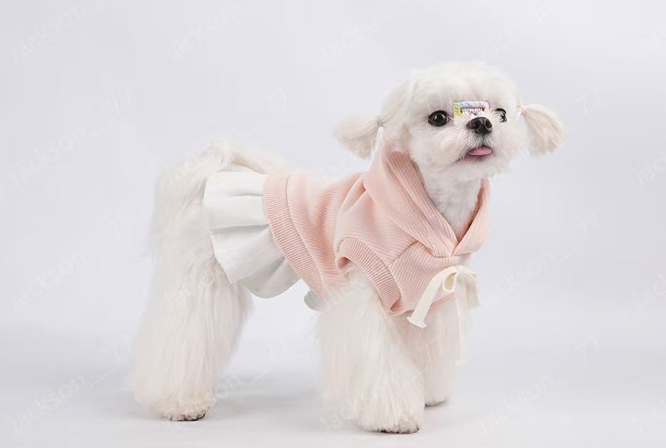 CheePet Baseball Hoodie with skirt