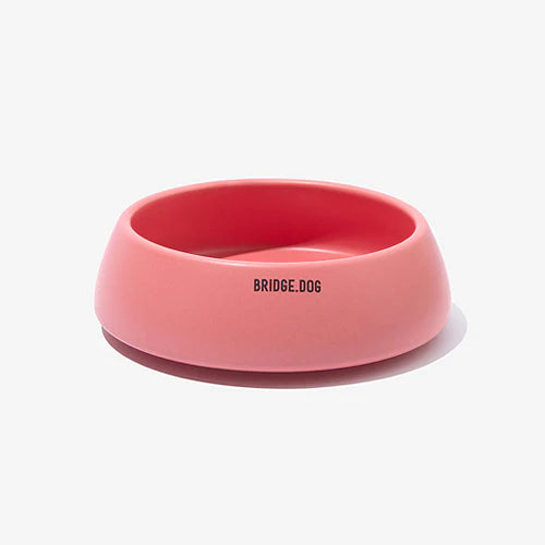 Bridge dog bowl