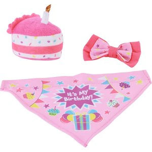 Li’l Pals Birthday Combo for Small Dogs & Puppies | Teal