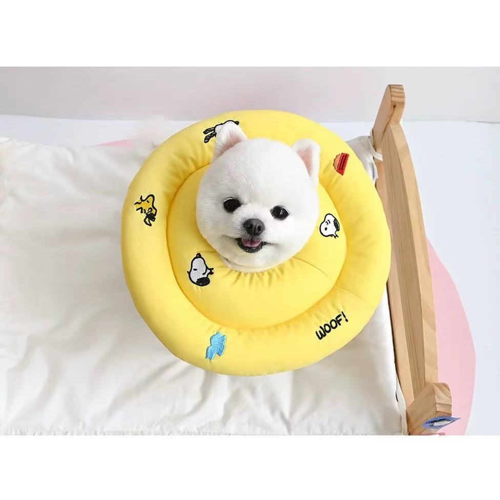 Peanuts icon neck collar