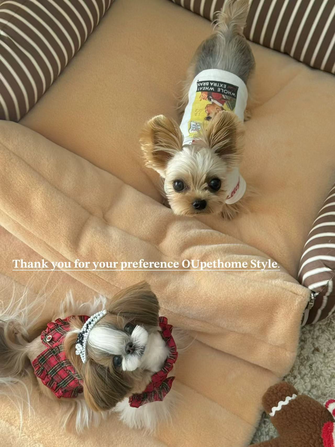 Ou Pet Brown Pet Bed