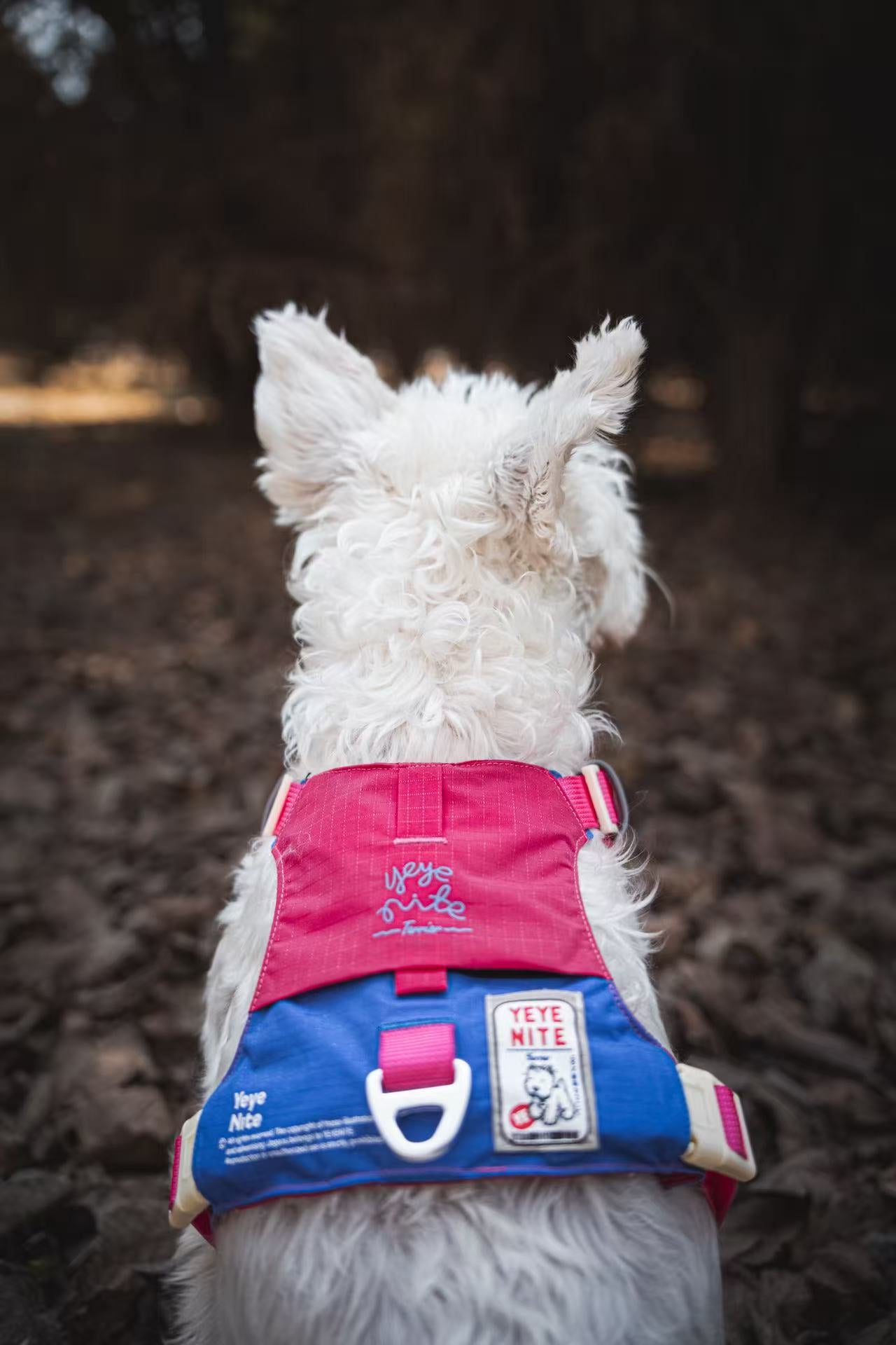 Yeyenite Dog Harness