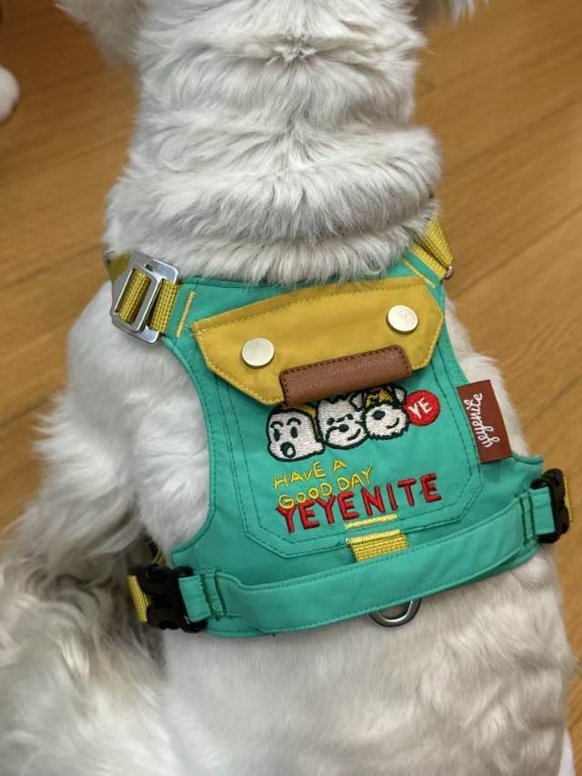 Yeyenite Dog Harness