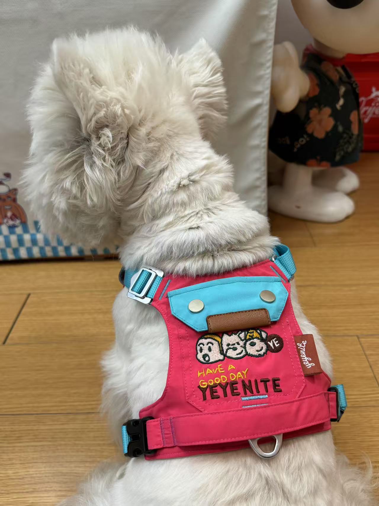 Yeyenite Dog Harness