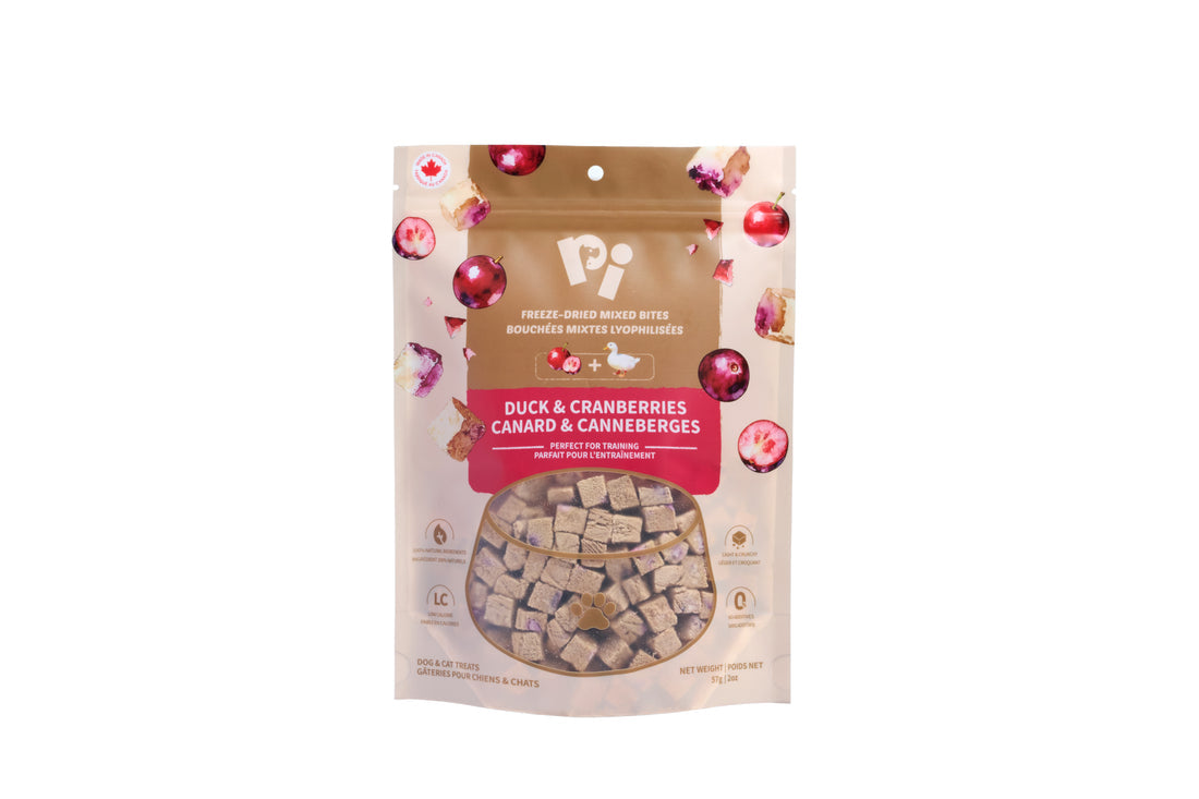 Pi Freeze-Dried Duck & Cranberries Training Treats for Dogs & Cats (57g)