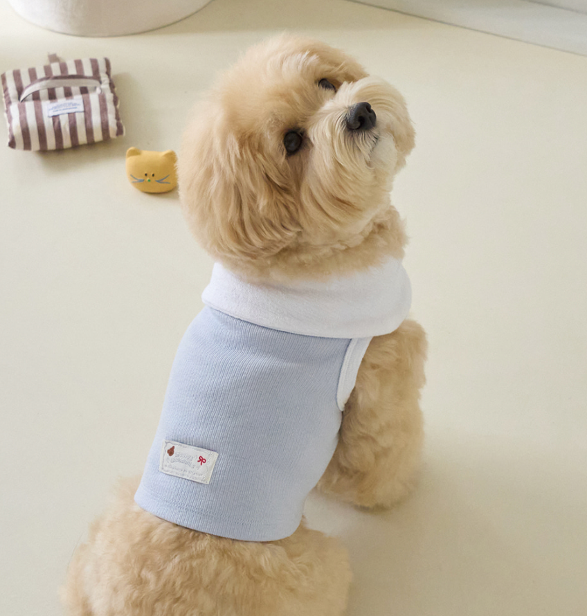 Benny Basic & Nature Dog Apparel – Soft Everyday Pet Clothing