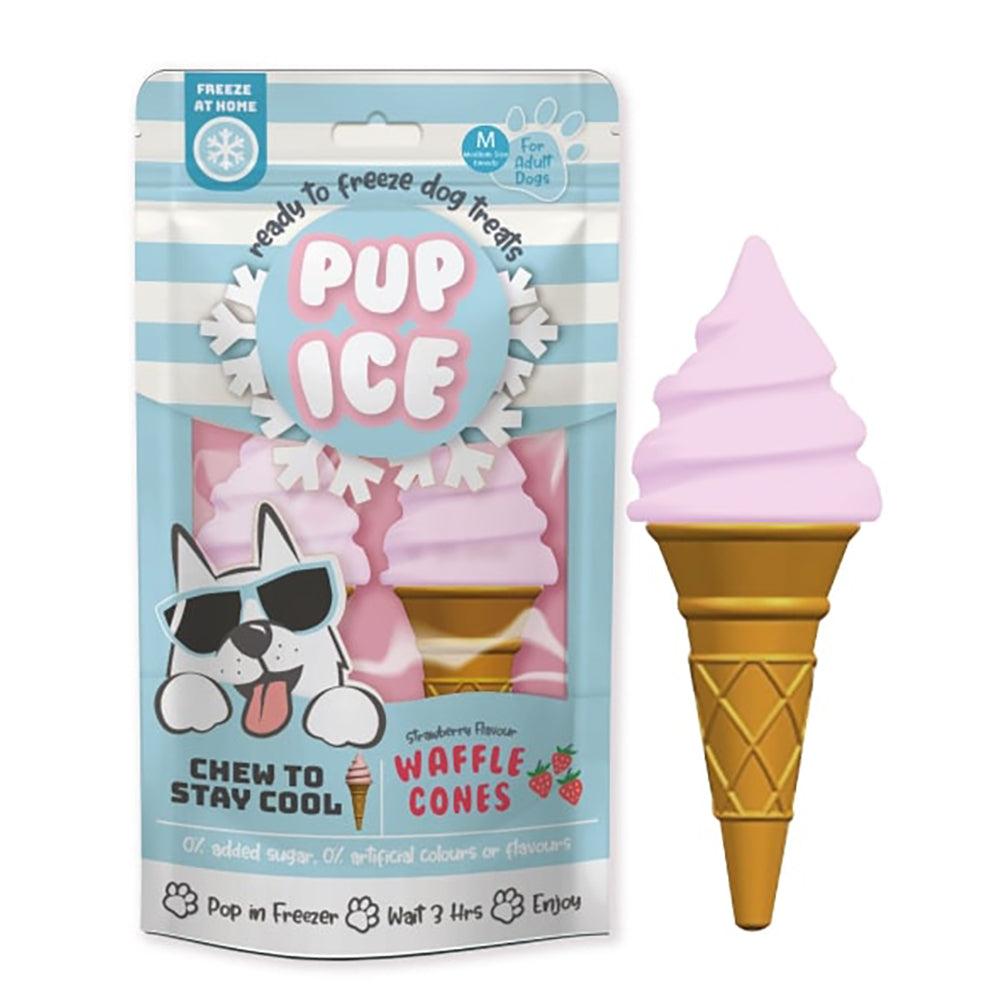 Pup Ice Lollies Rocket
