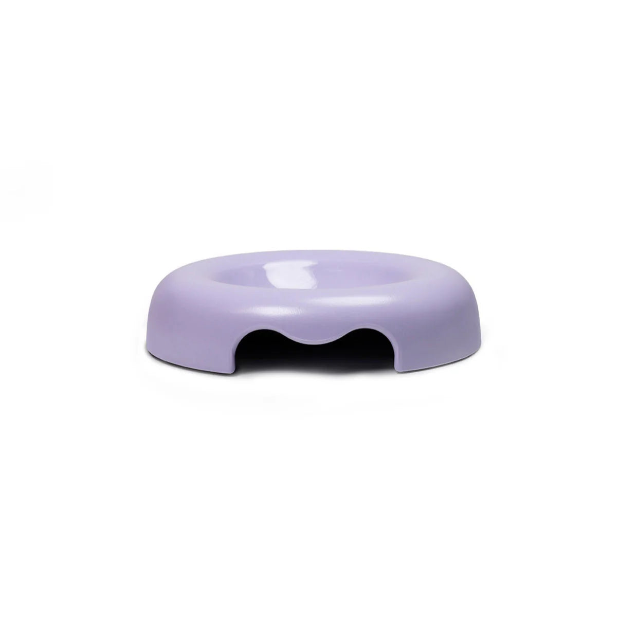 KITTY - Cat/Dog Bowl