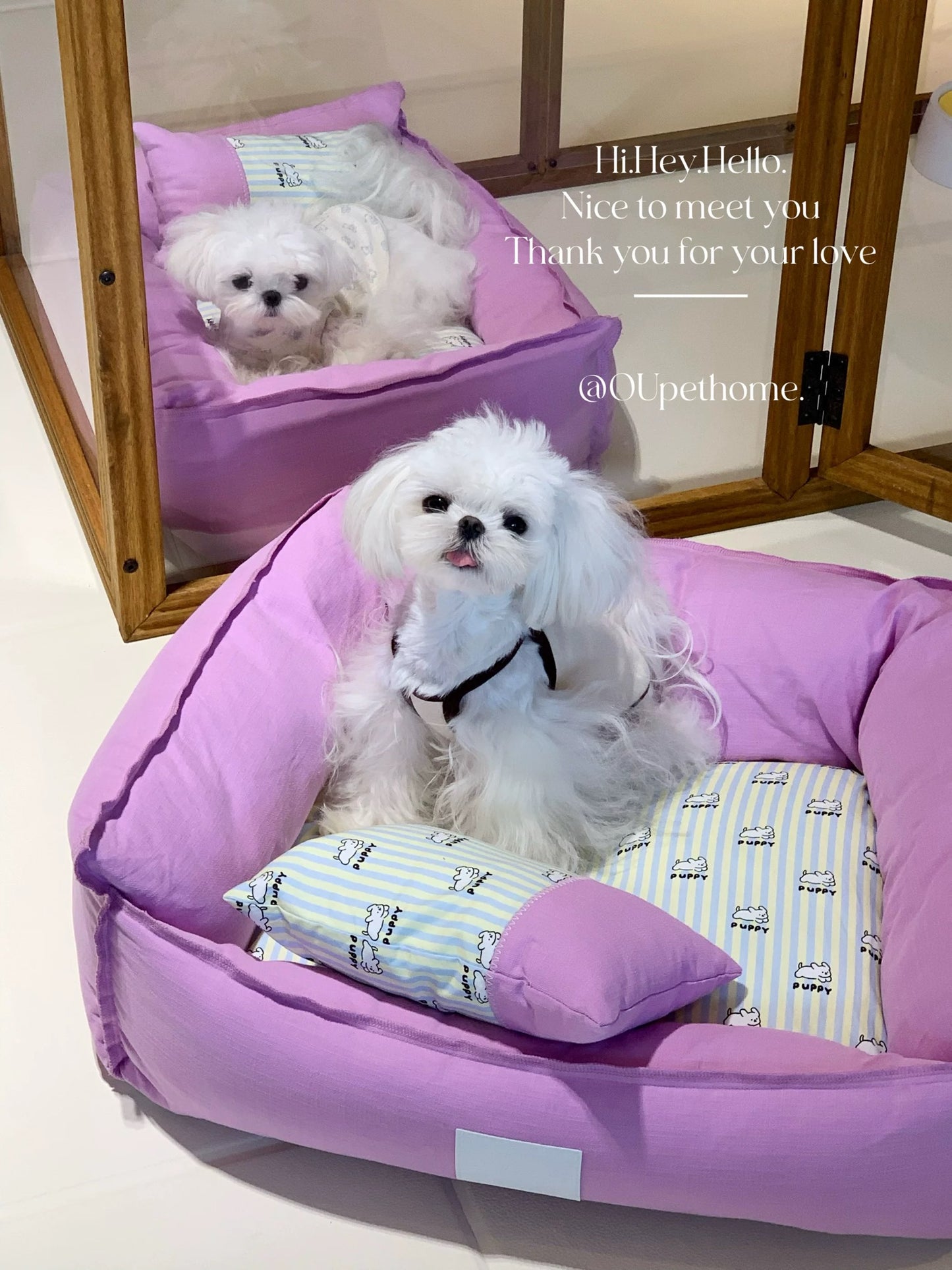 Ou Pet Pink Pet Bed