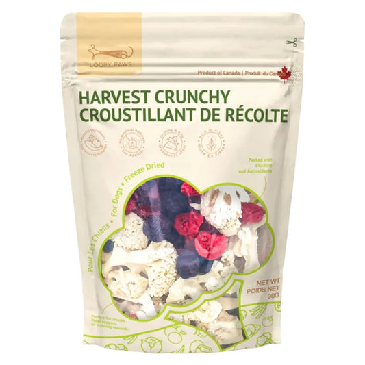 Loopy Paws - Treats - Freeze-Dried - Harvest Crunchy - Cauliflower & Blueberry & Raspberry - 30g