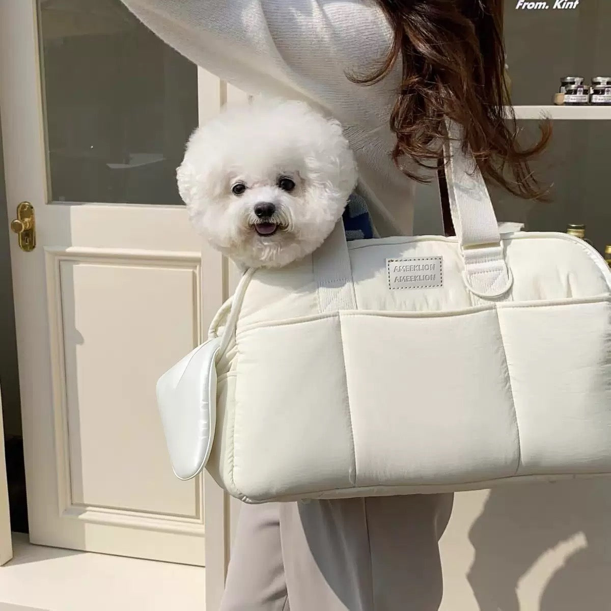 MP Padded Mesh Pet Carrier Tote Bag
