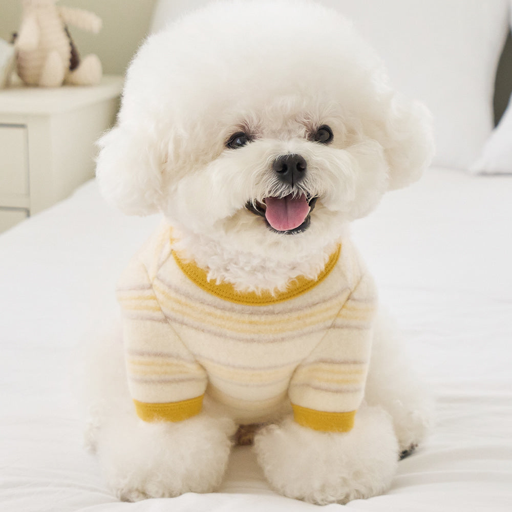 Bennys Sunshine Striped Dog Sweater