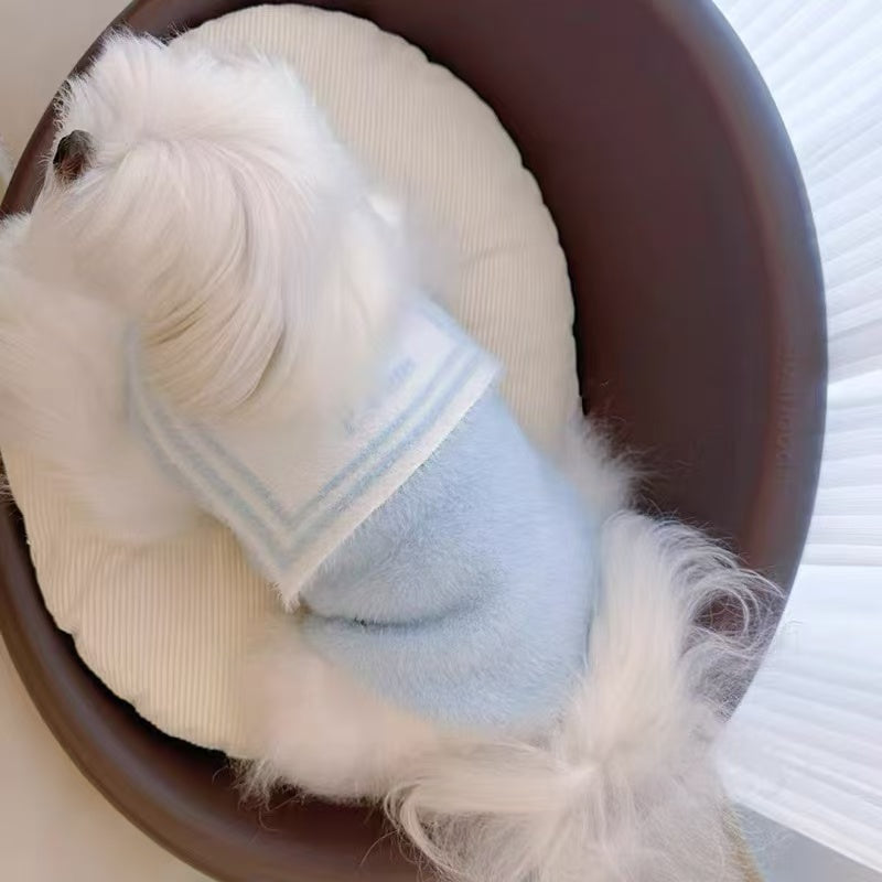 Wink Pet sweater