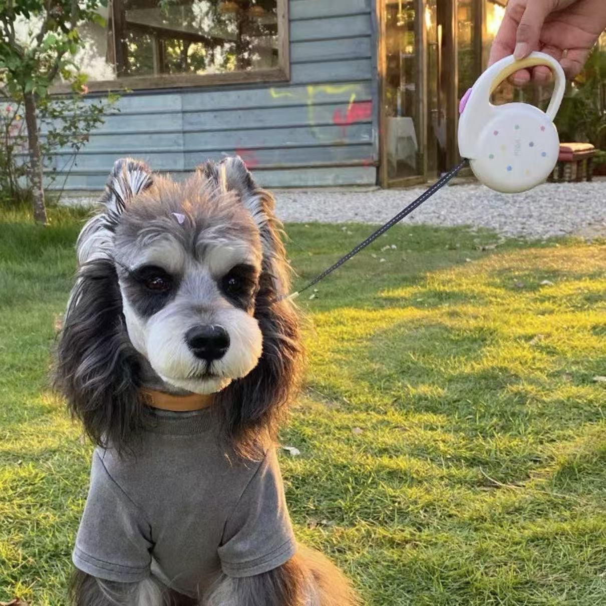 Fida small size dog leash