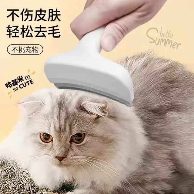 Hanbd pet Brush