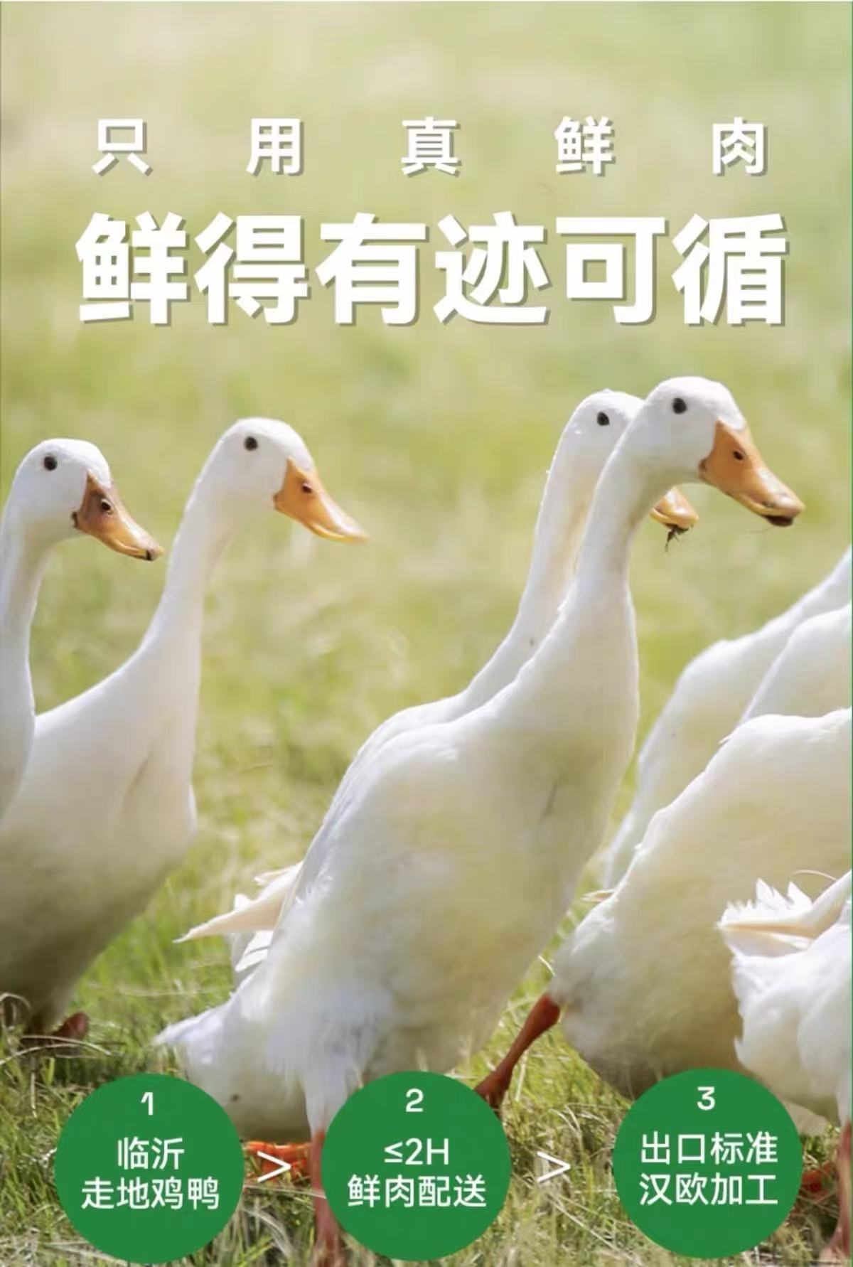 PARTNER Low-Temperature Dried Duck Breast Slices – Dog & Cat Treats