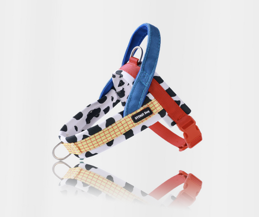 Soft Padded Dog Harness with Leash 015