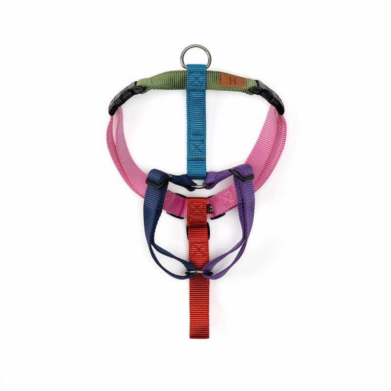 Haqihana Northern Lights dog harness