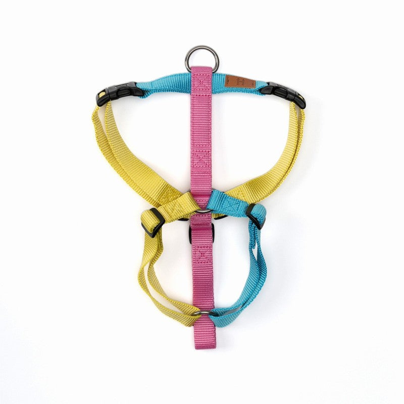 Haqihana Unicorn Limited Edition dog harness
